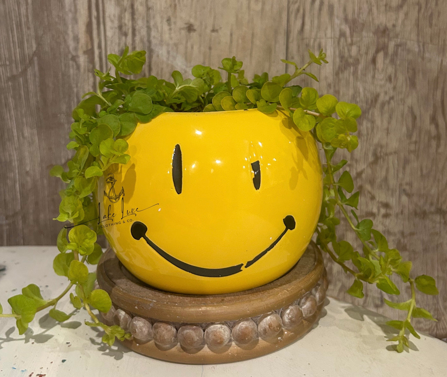Vintage smiley face pot (plant comes with it as long as it survives 😂) with or without stand